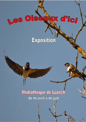 Exposition sur les 