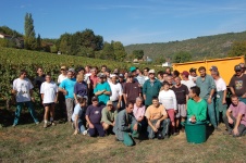 vendanges_2009_311b