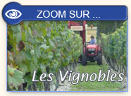 Les vignobles