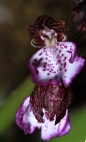 600img_4867b
