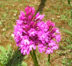 dscn5402b