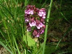 dscn5406b
