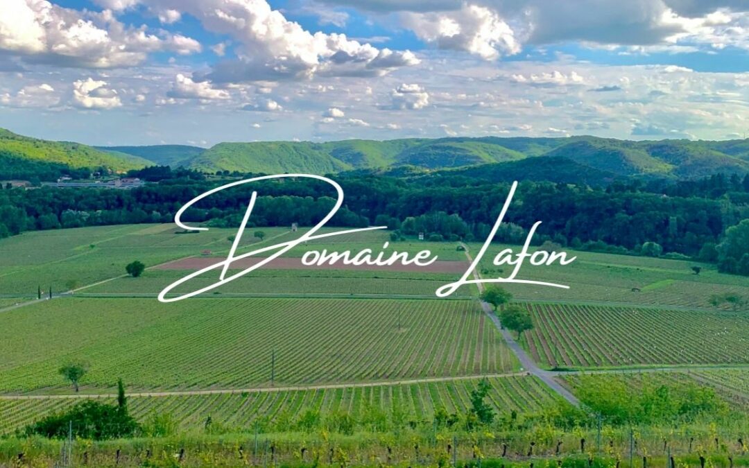 Domaine Lafon