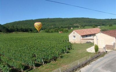 La Clef des Vignes