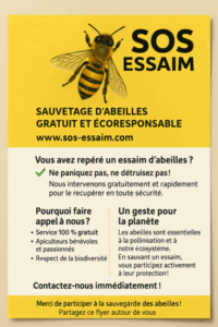 Sauver et Récupérer un essaim d’abeilles dans votre commune